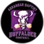 Arkansas Baptist
