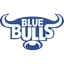 Blue Bulls
