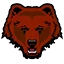 Brown Bears