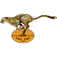 Free State Cheetahs