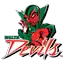 Mississippi Valley State